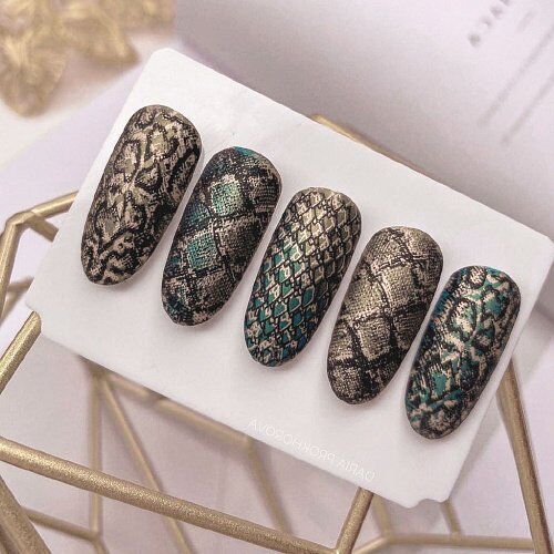 Swanky Stamping Plaka 095 (Hayvan Deseni)