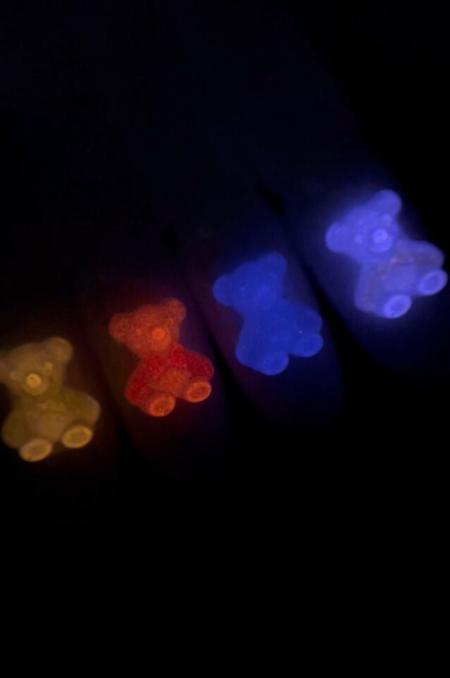 Zoo 1815 3D Charm Ayıcık Flöresan 10 Adet