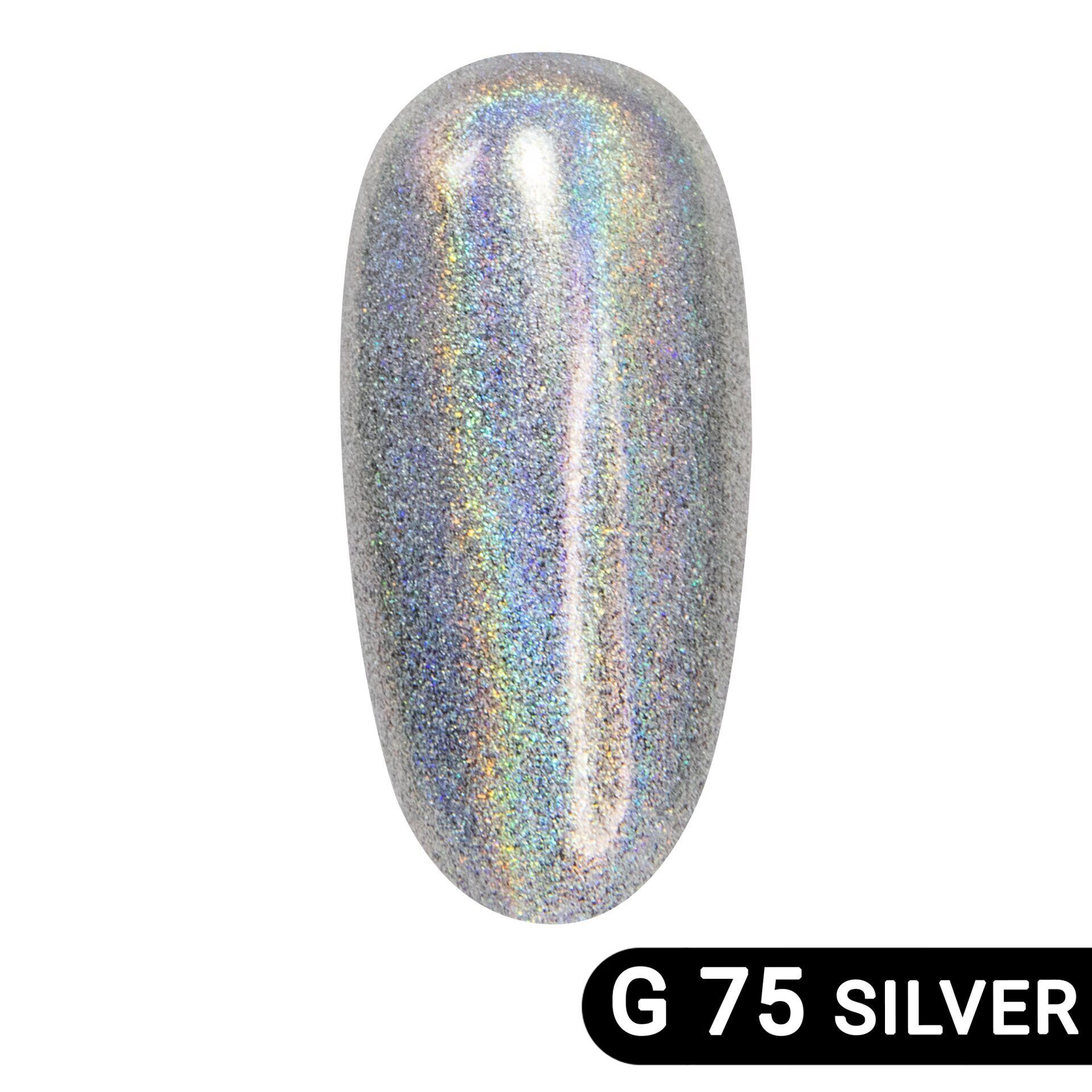 Global Fashion Krom Toz Holografik Silver