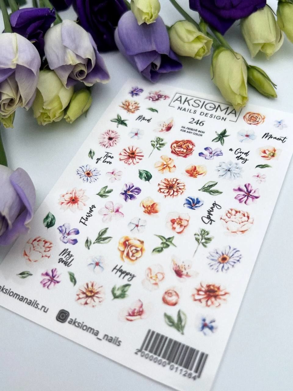 Aksioma Su Transferi Sticker 246