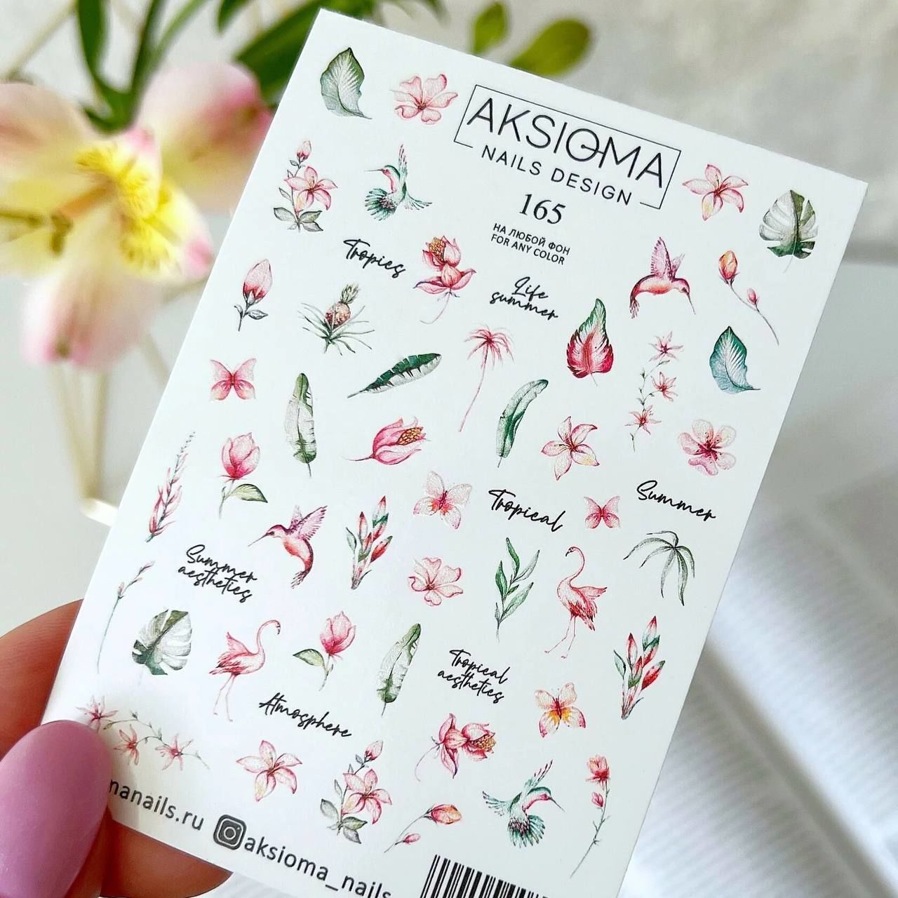 Aksioma Su Transferi Sticker 165