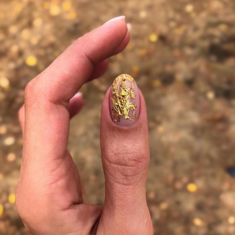 Zoo 1582 File Folyo (4*25cm)