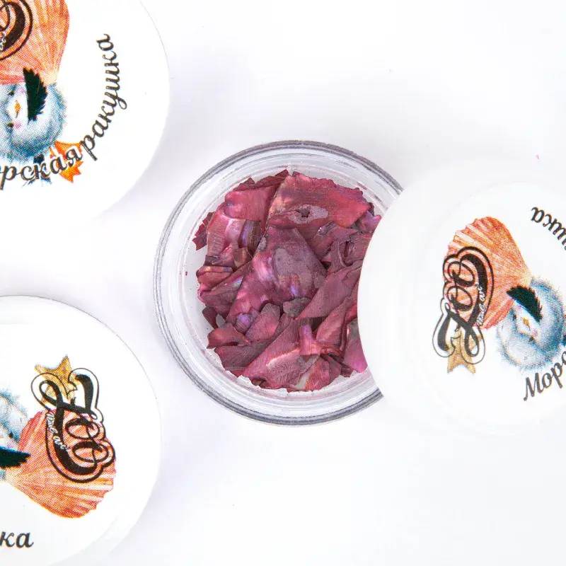 Zoo 1672 Deniz Kabuğu Nail Art Süsü