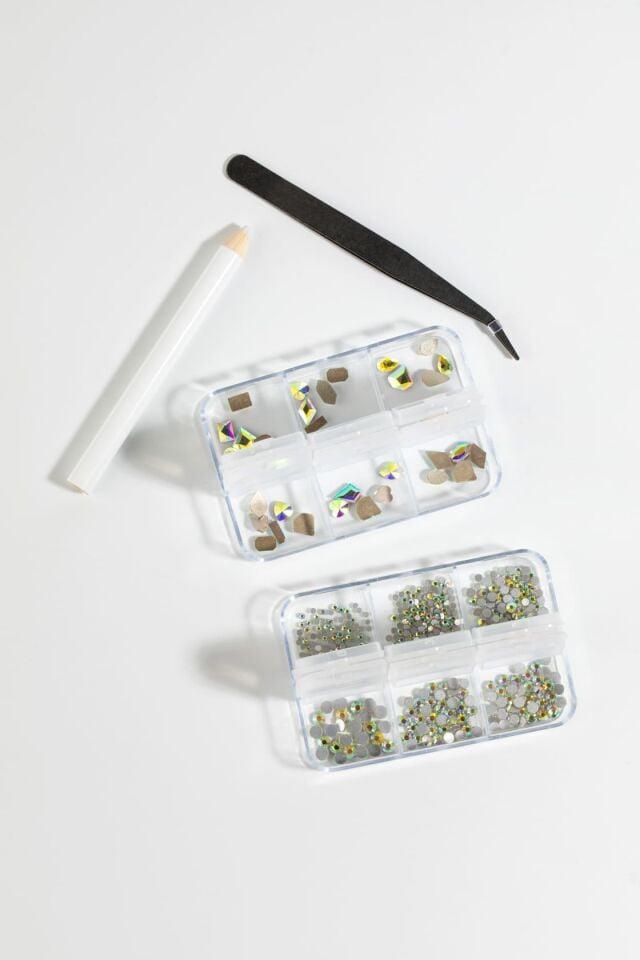 Chameleon Straz Seti